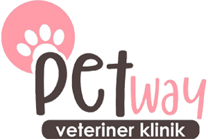 bivet